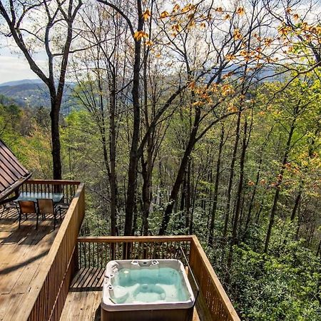 Bear View Chalet With Hot Tub And Near Ober Gatlinburg Zewnętrze zdjęcie